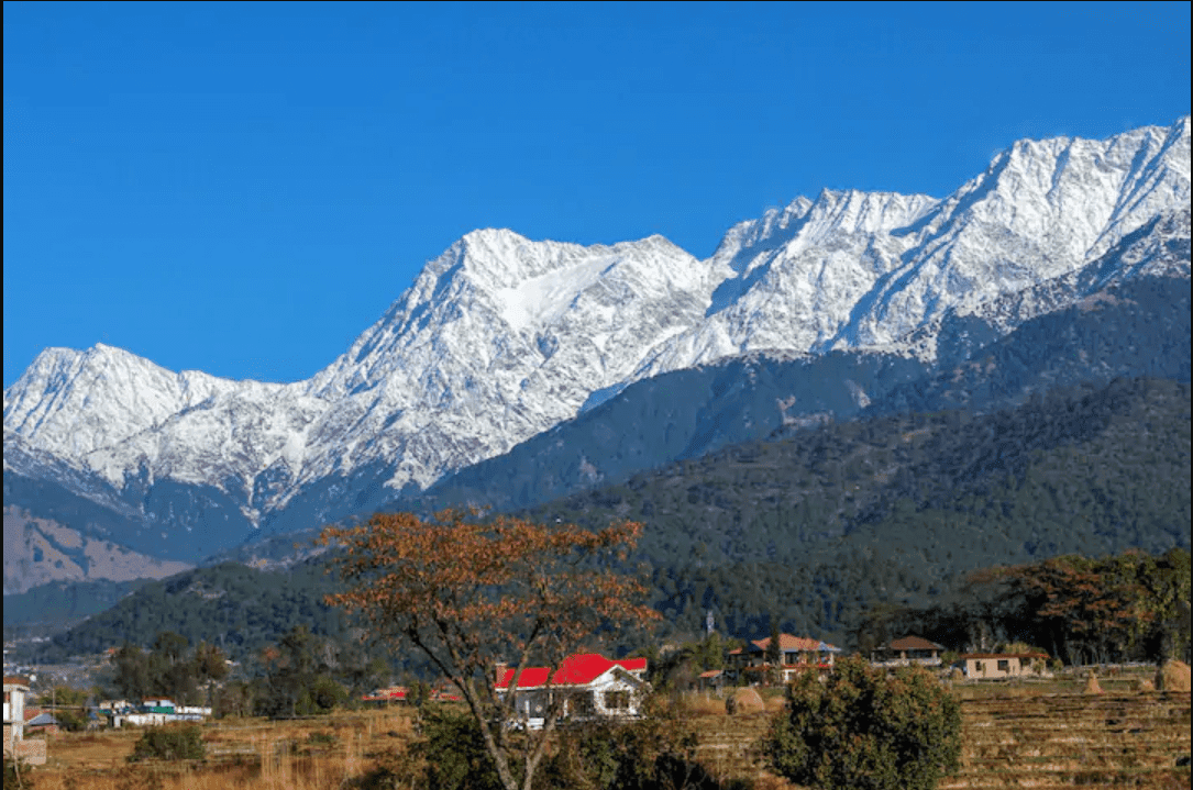 Hire a car and driver in Palampur