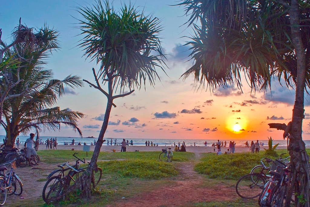 Hire a car and driver in Bentota